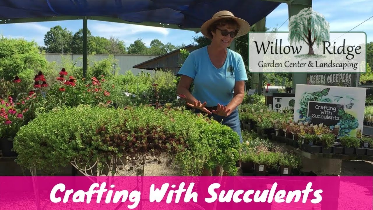 Crafting With Succulents Willow Ridge Garden Center YouTube