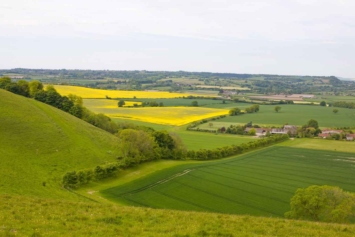 Cranborne Chase And West Wiltshire Downs AONB Historic Landscape Website Designated Landscape