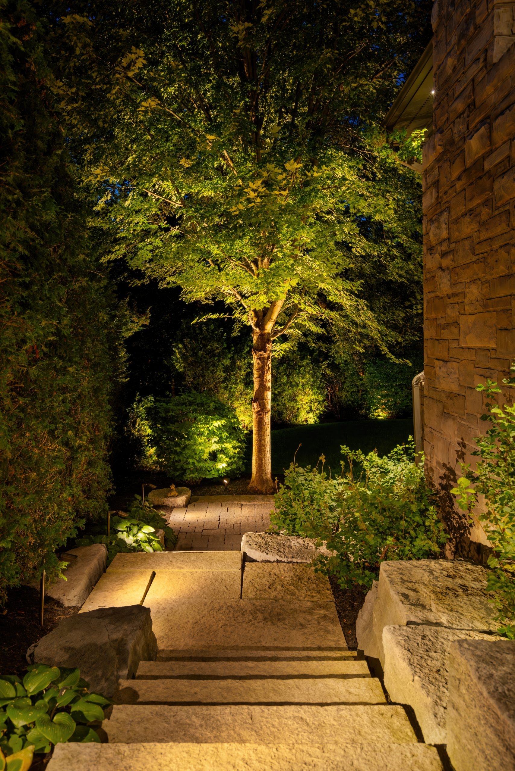 Creating Natural Outdoor Lighting Effects In Your Garden