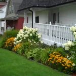 Creating Stunning Gardens With Hydrangeas In Landscaping