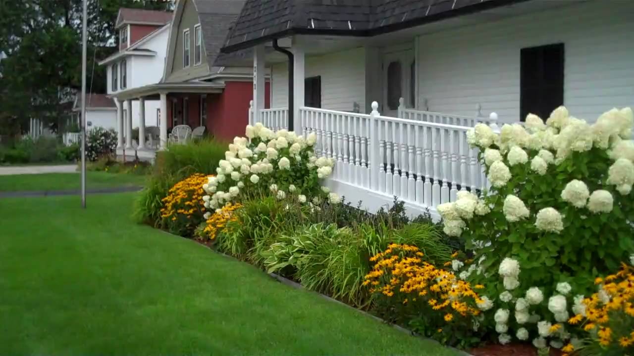 Creating Stunning Gardens With Hydrangeas In Landscaping