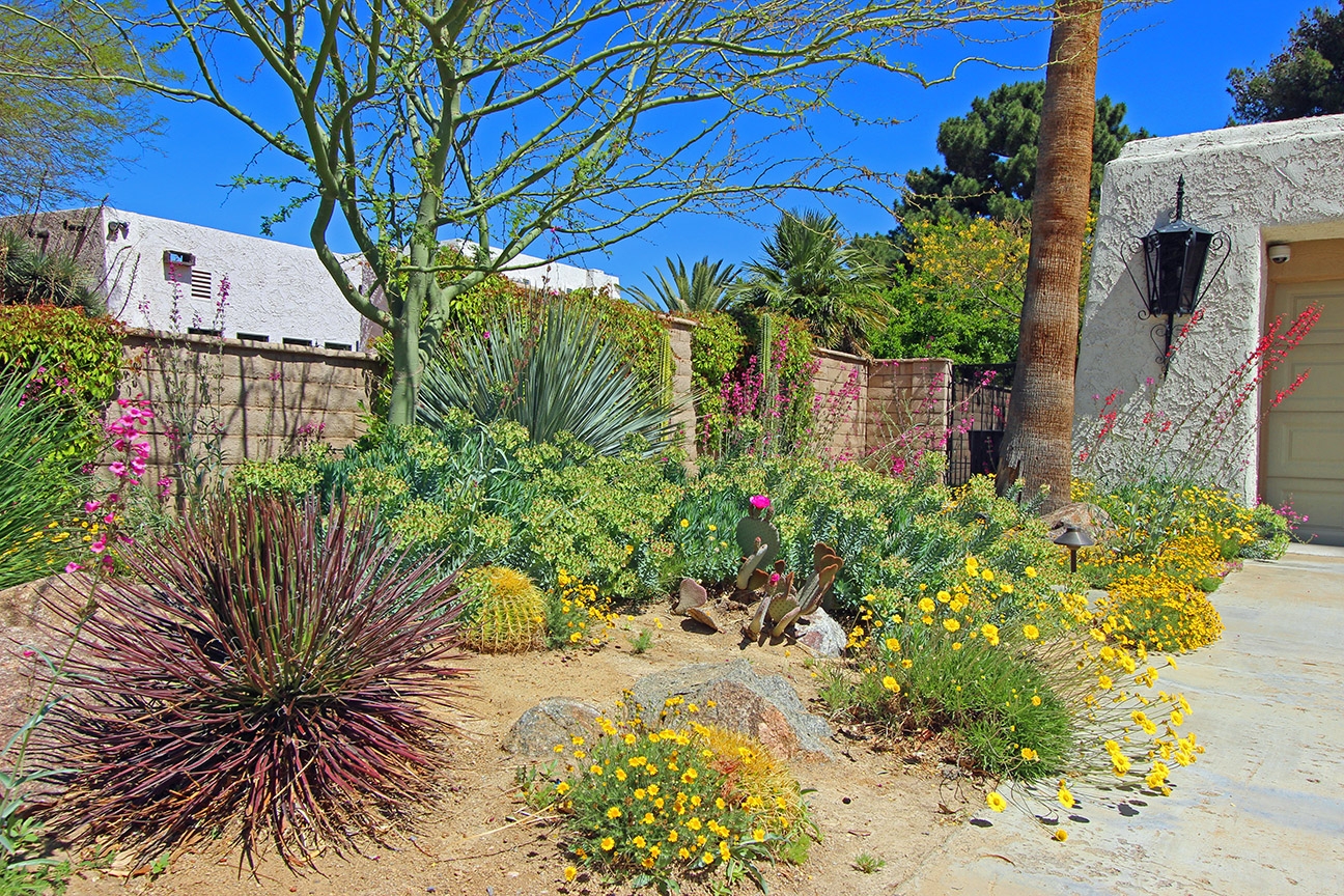 Creating Your Desert Oasis Finding Plants That Dig Southern Nevada Nevada Housing Division