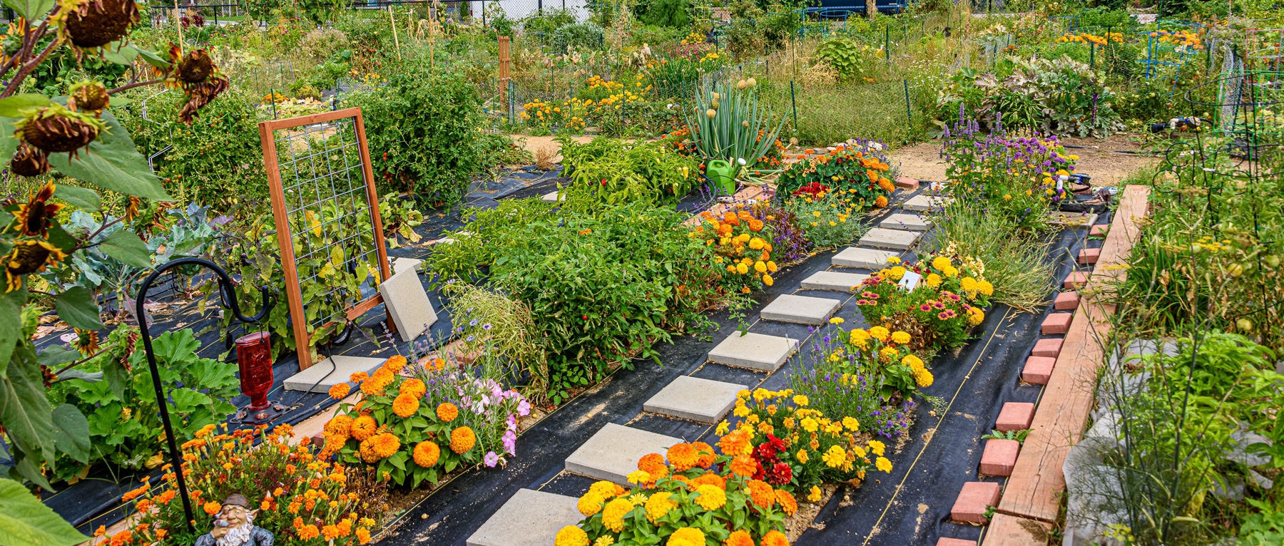 Cultivating Community Gardens CivicWell