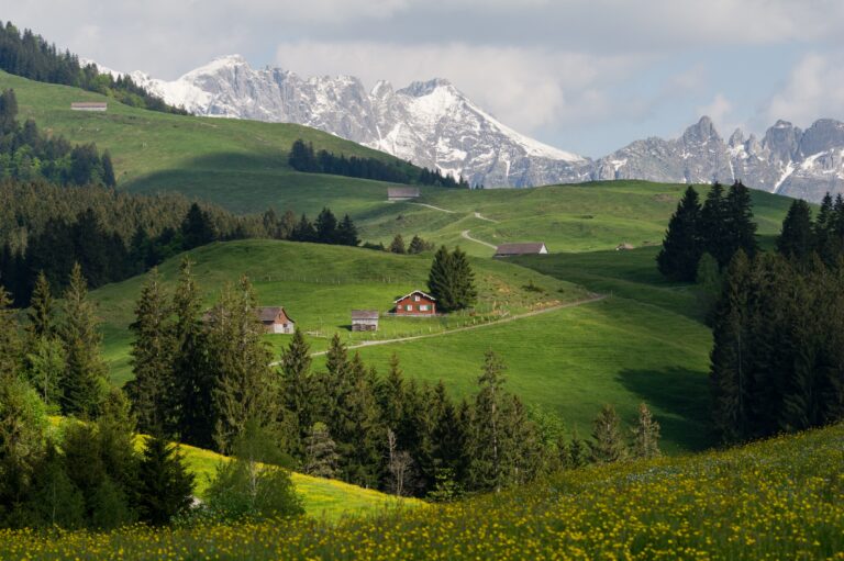Cultural Landscape Wikipedia