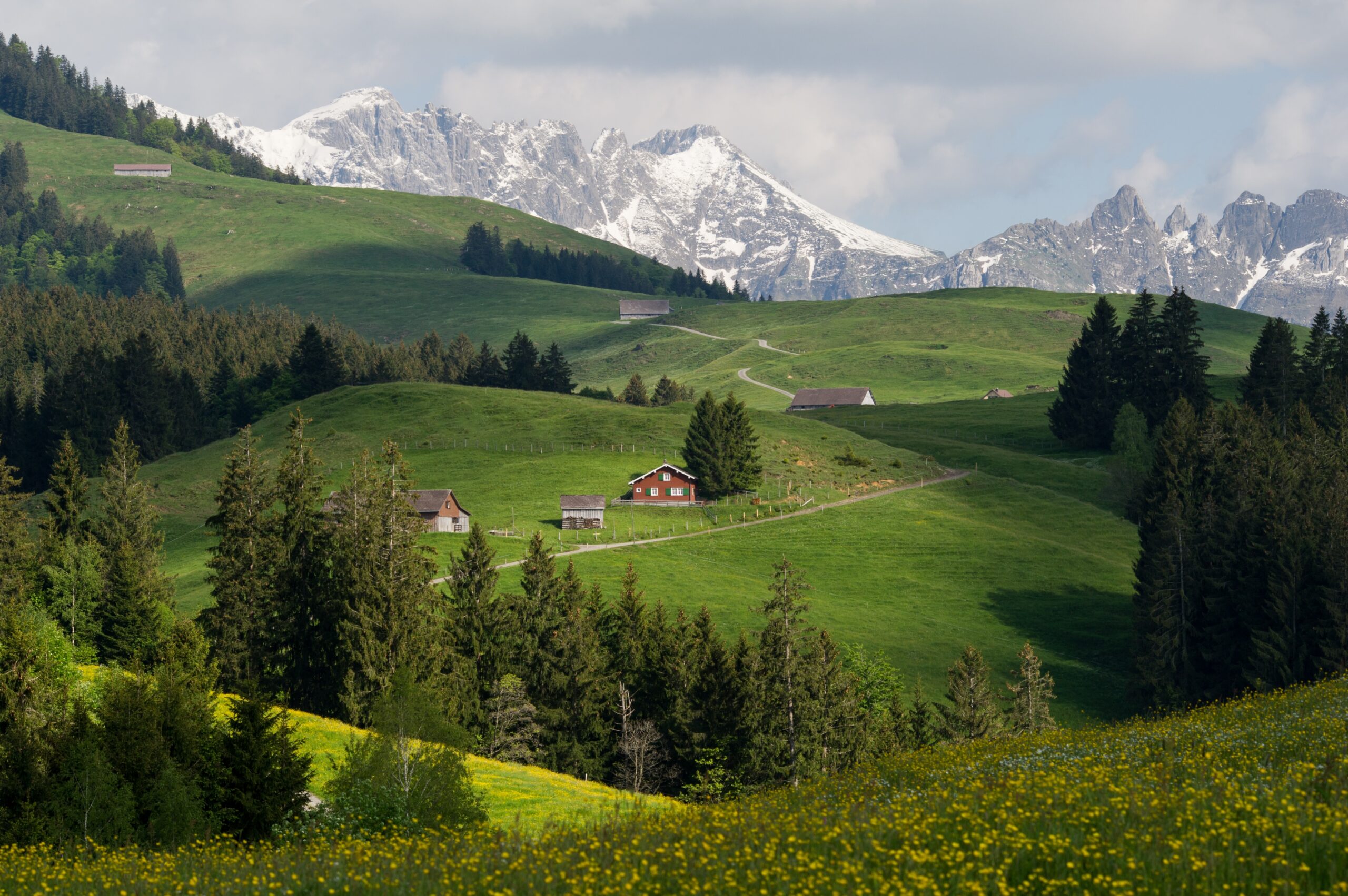 Cultural Landscape Wikipedia