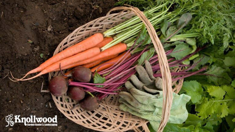 Dayton Garden And Landscape Center Knollwood Garden Center And Landscaping