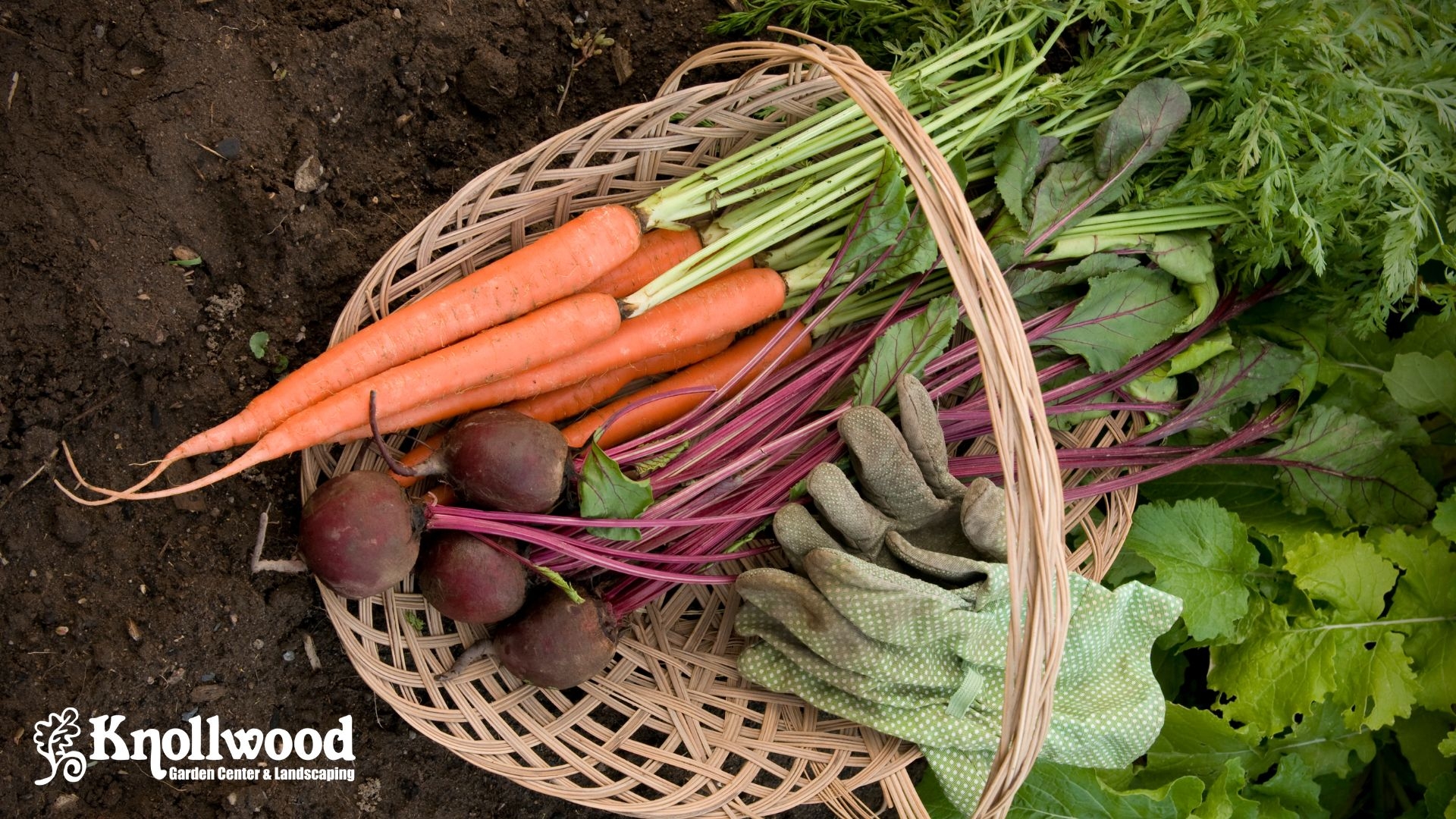 Dayton Garden And Landscape Center Knollwood Garden Center And Landscaping Dayton Garden And Landscape Center Knollwood Garden Center And Landscaping