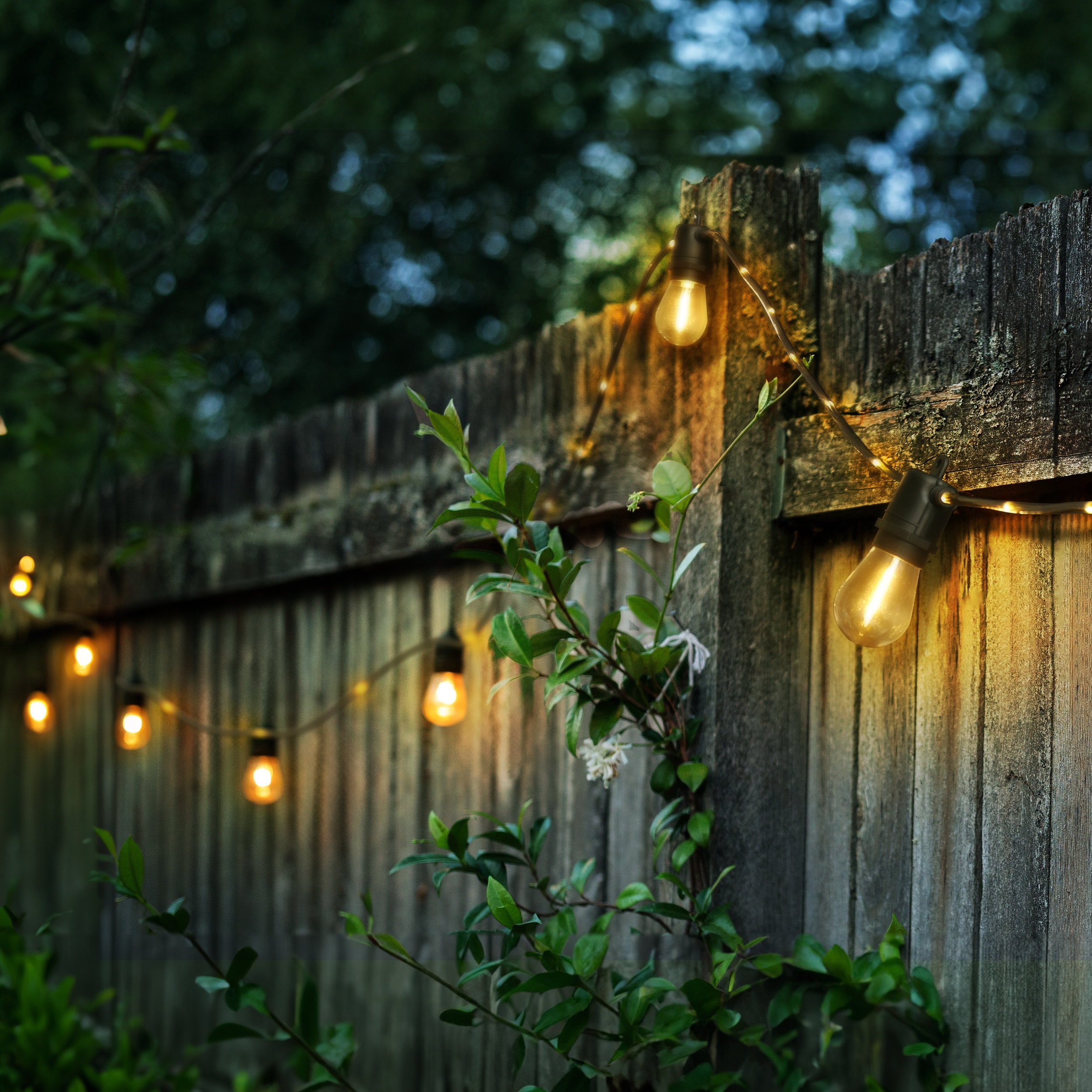 landscape lights at lowes