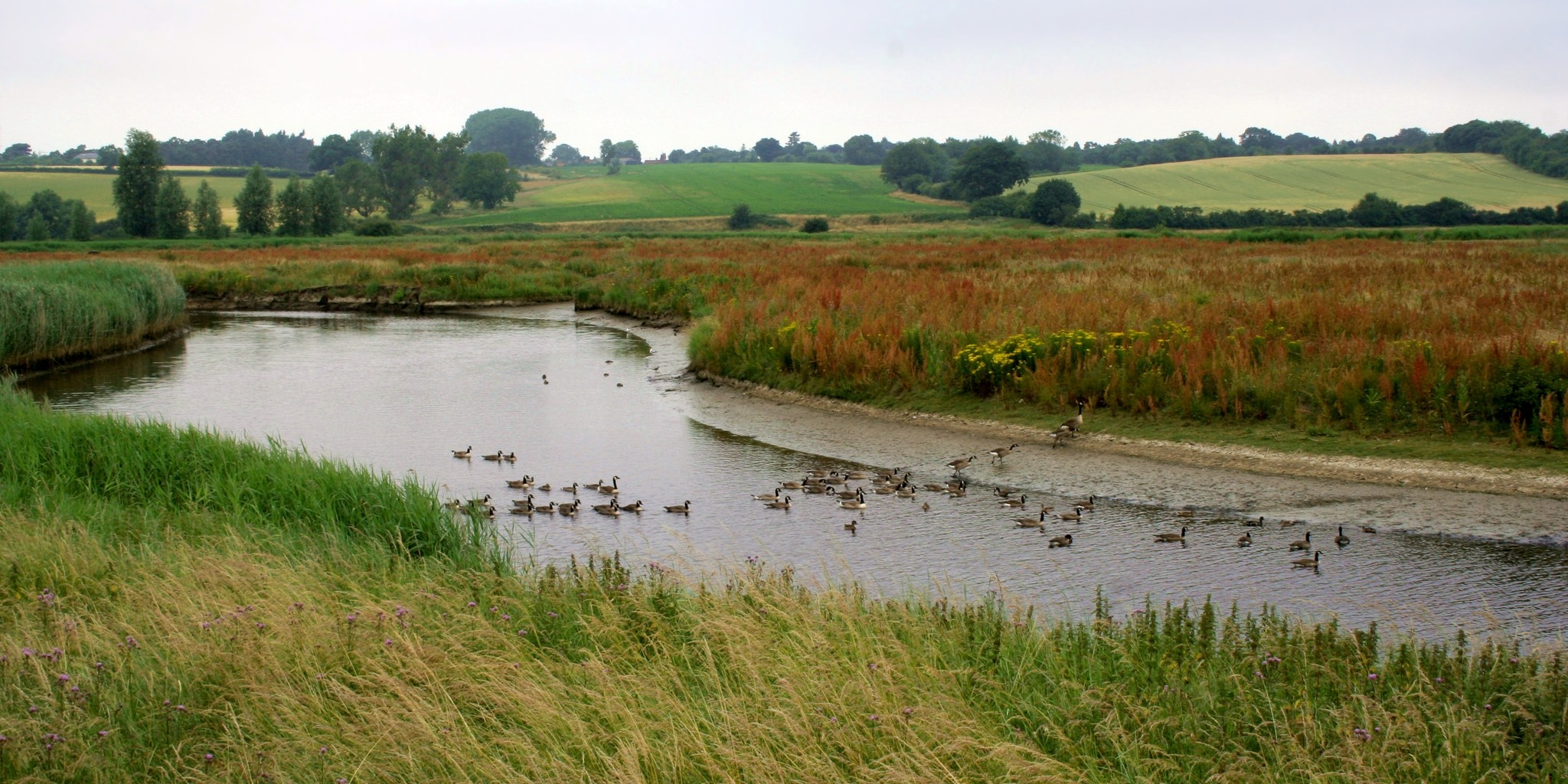 Dedham Vale National Landscape Wikipedia