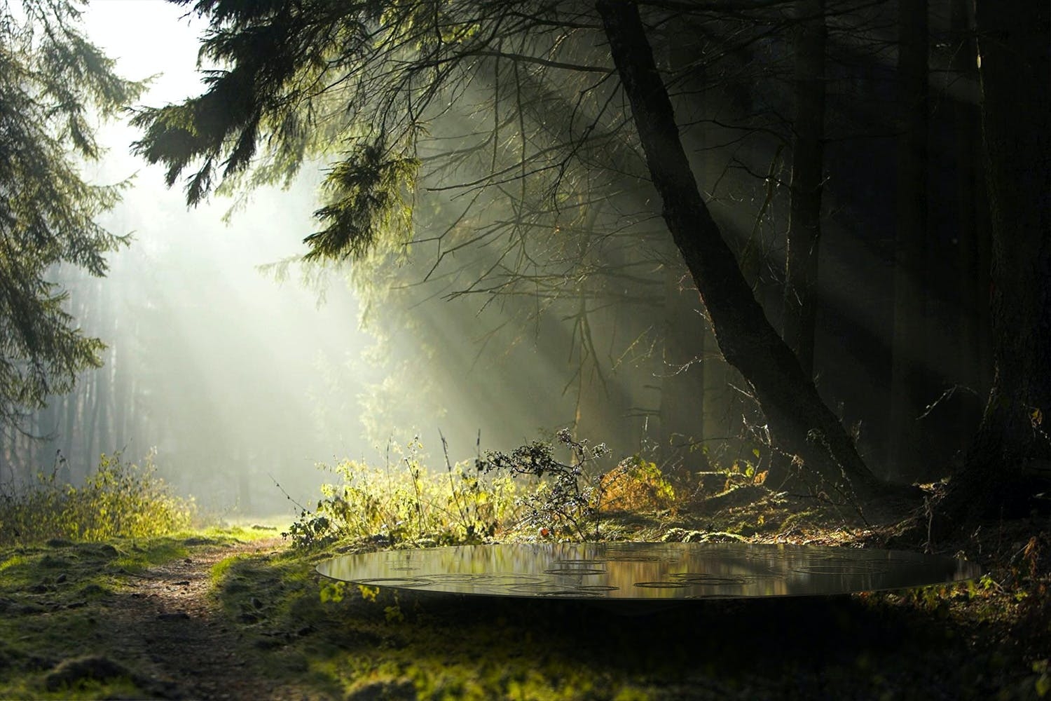 Design For Forest Landscape Architecture Platform Landezine
