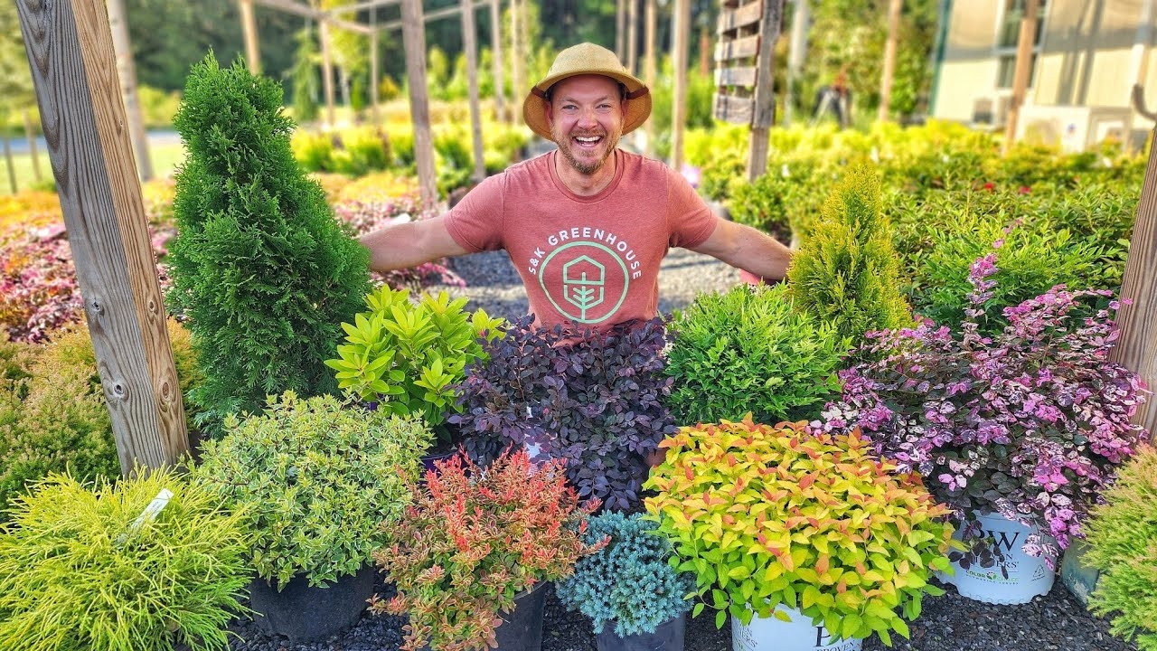 Design Your Dream Landscape Best Shrub Combos For Your Home YouTube