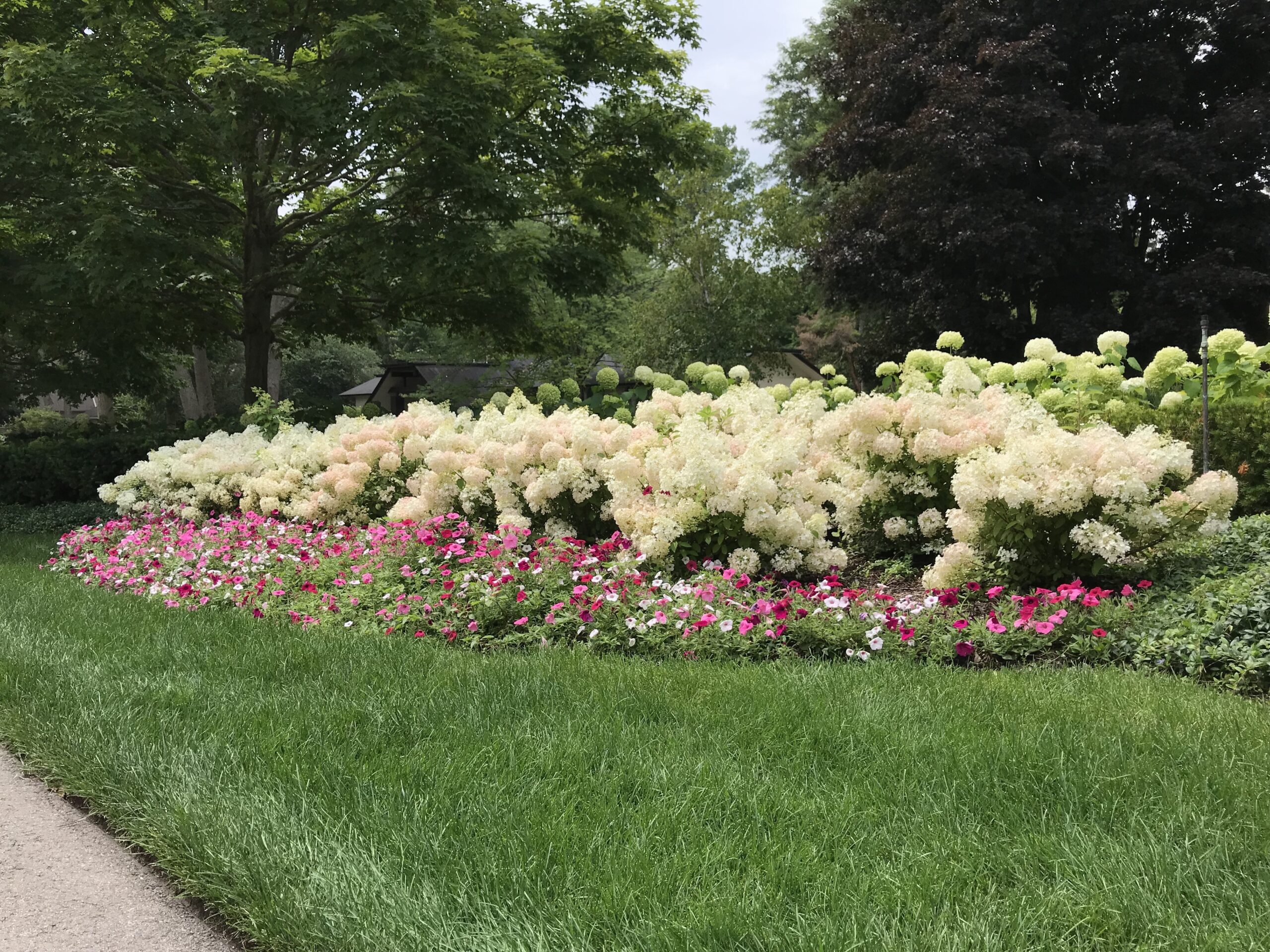 Designing With Hydrangeas Deborah Silver Co 