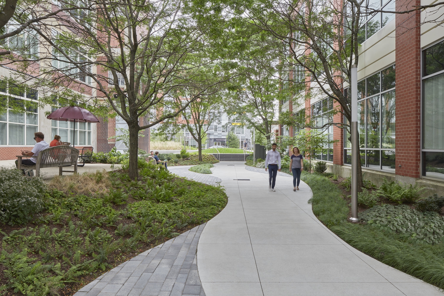 Designing With Nature A Landscape Architecture Q A SMMA