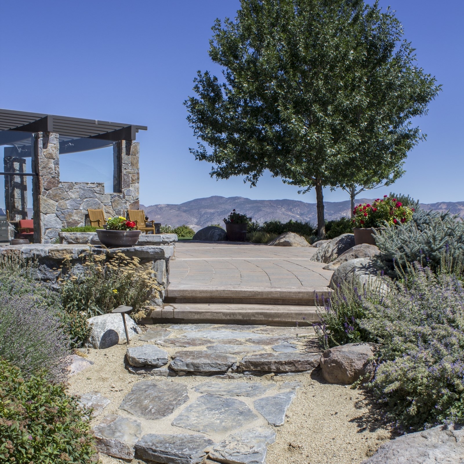desert landscape plants