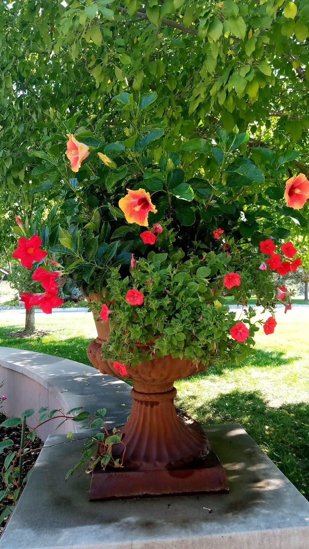 Direct Landscape Supply Reviews Photos Phone Number Updated August 2025 Building Supplies In Englewood Town Arapahoe County CO Wheree