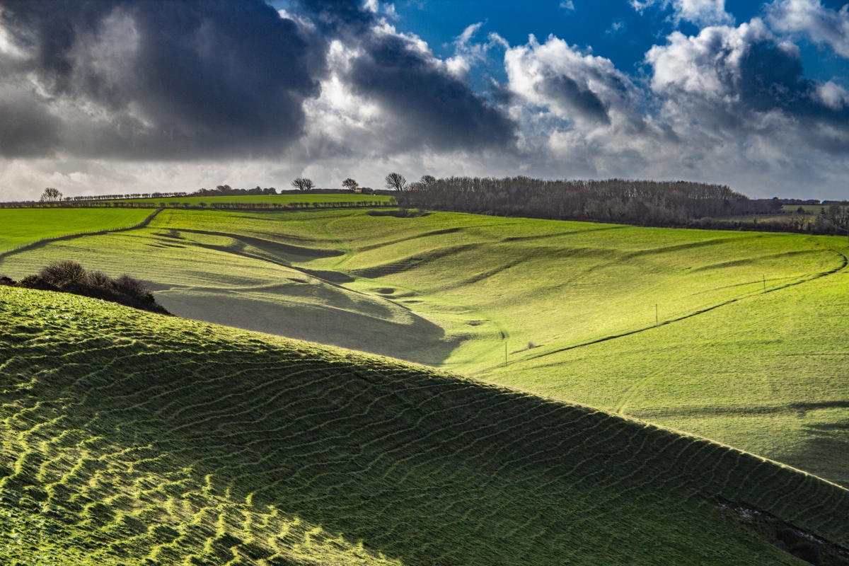 Dorset s Areas Of Outstanding Natural Beauty Visit Dorset