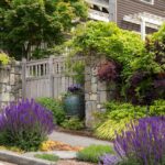 Drought Tolerant Landscape Design Tips And Tricks For A Thriving Garden