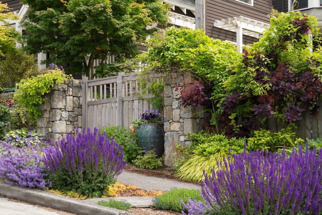 Drought Tolerant Landscape Design Tips And Tricks For A Thriving Garden