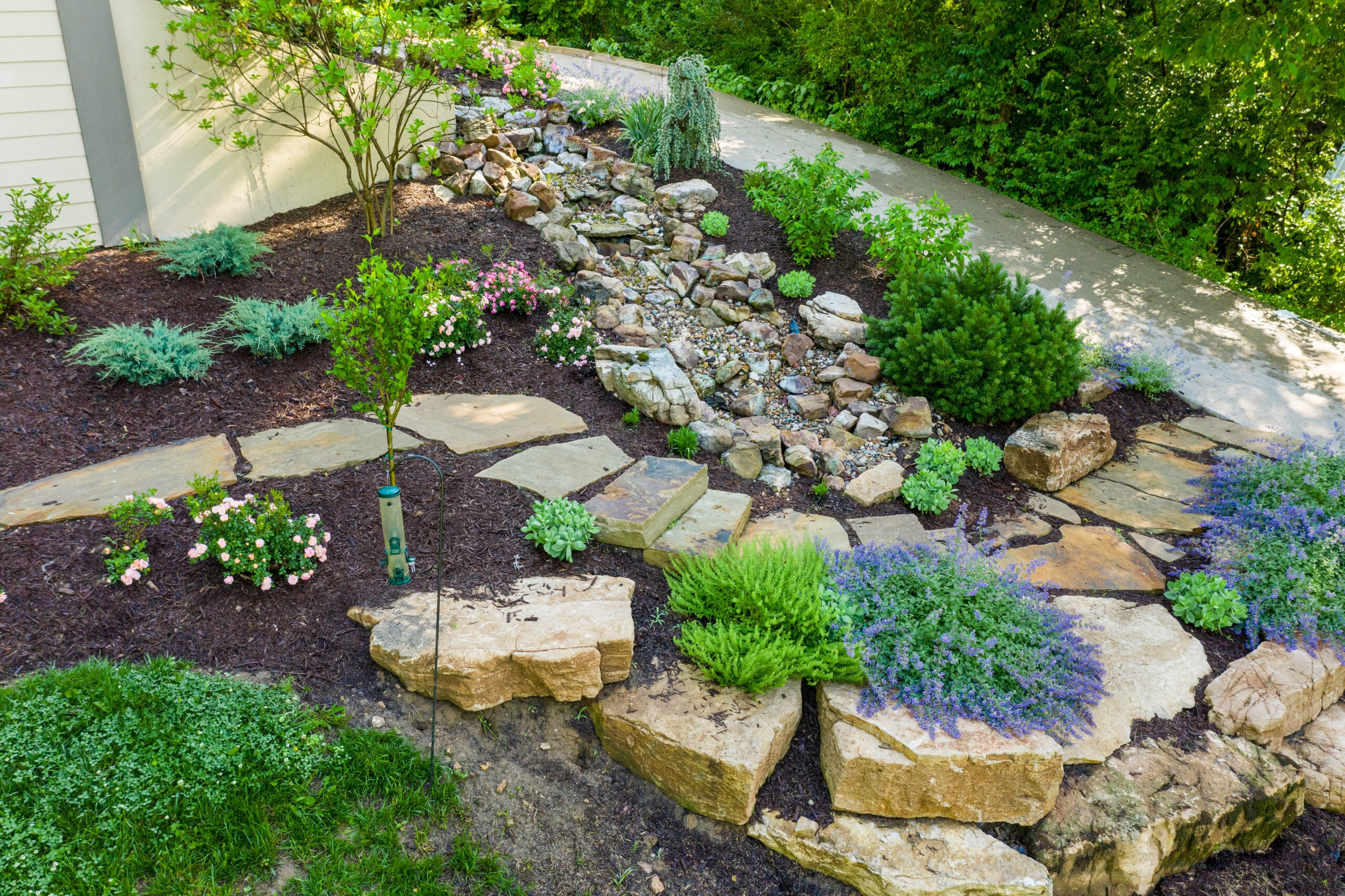 dry creek bed landscaping
