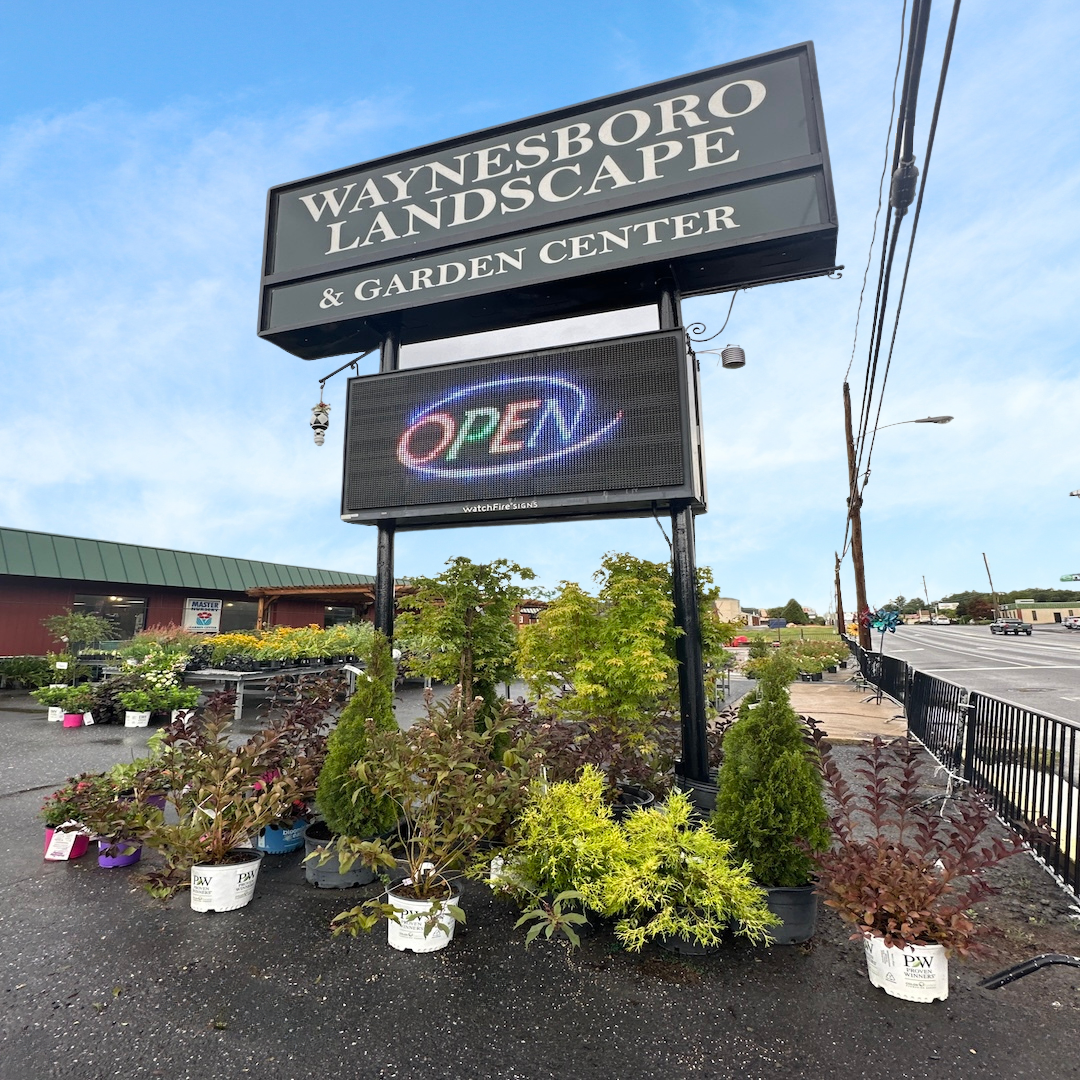 Earthtones Landscaping Water Gardens Waynesboro VA Nextdoor Earthtones Landscaping Water Gardens Waynesboro VA Nextdoor