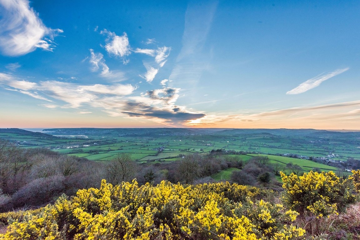 East Devon National Landscape A Landscape 250 Million Years In The Making