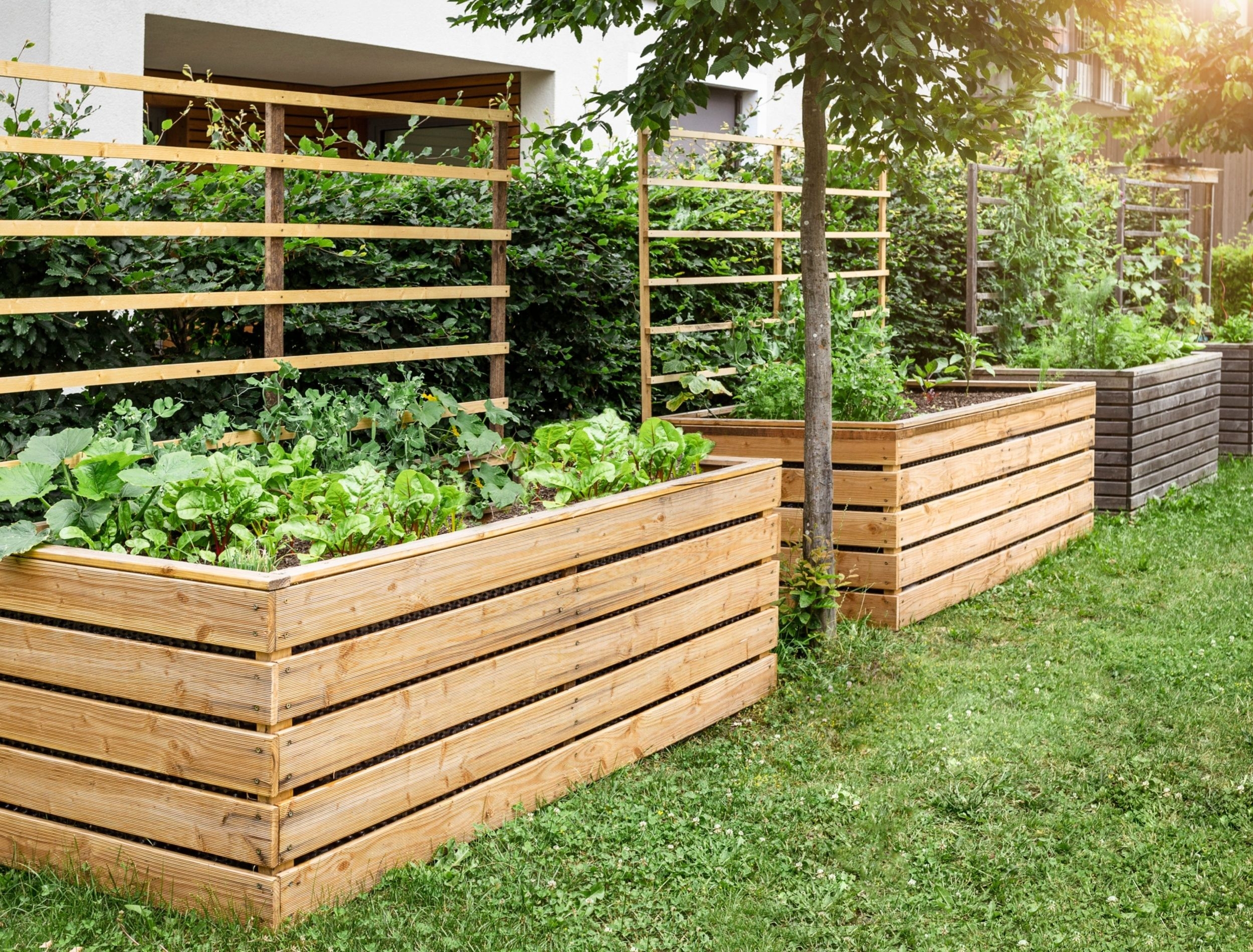 Easy Backyard Landscape Designs 5 Straightforward Options