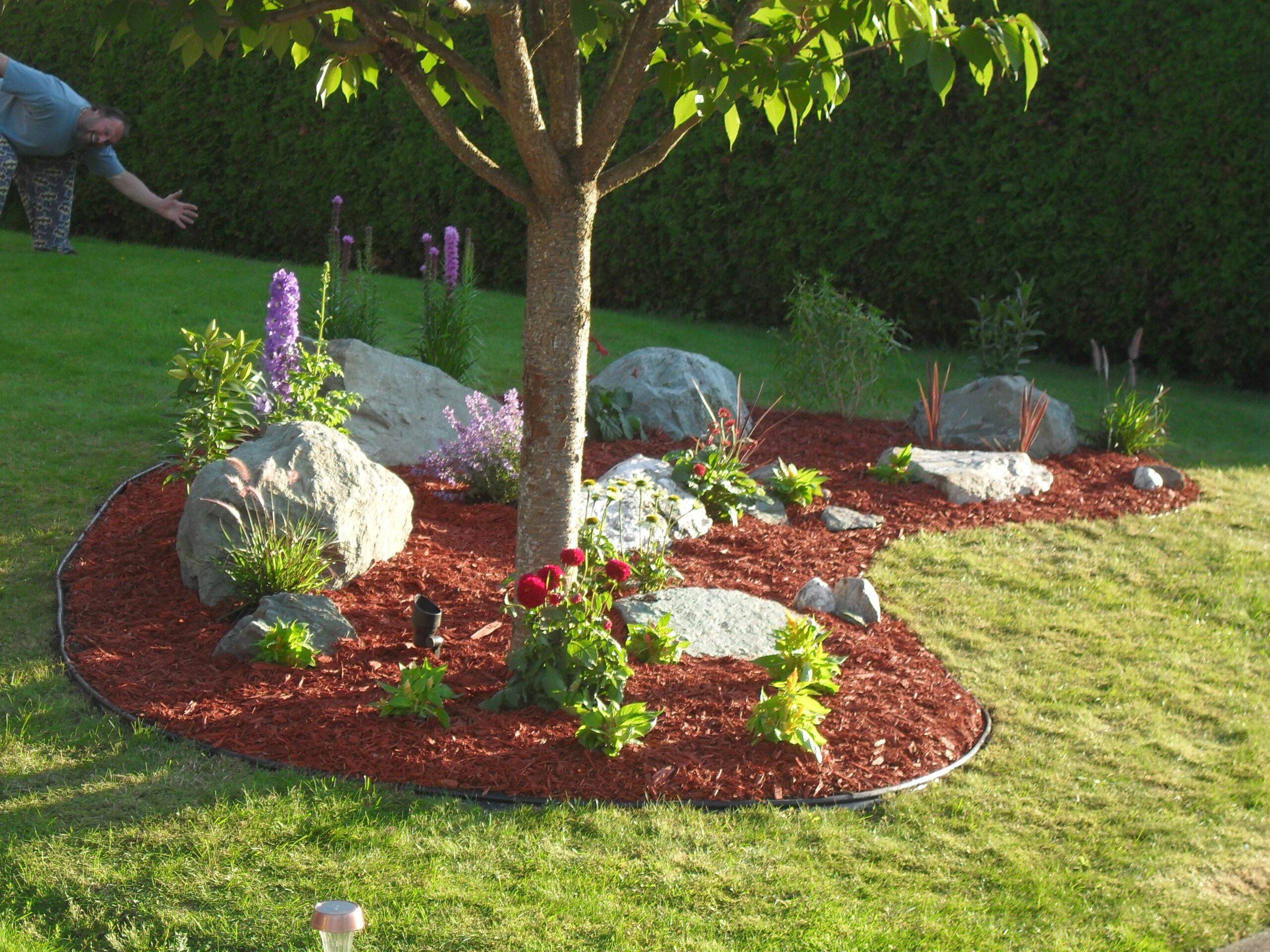 Easy DIY Landscaping Build A Rock Garden Dengarden