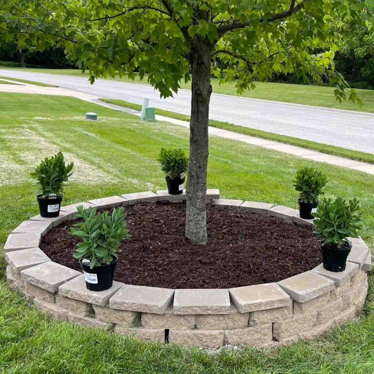 Easy DIY Tree Ring Makeover Budget Friendly Front Yard Transformation
