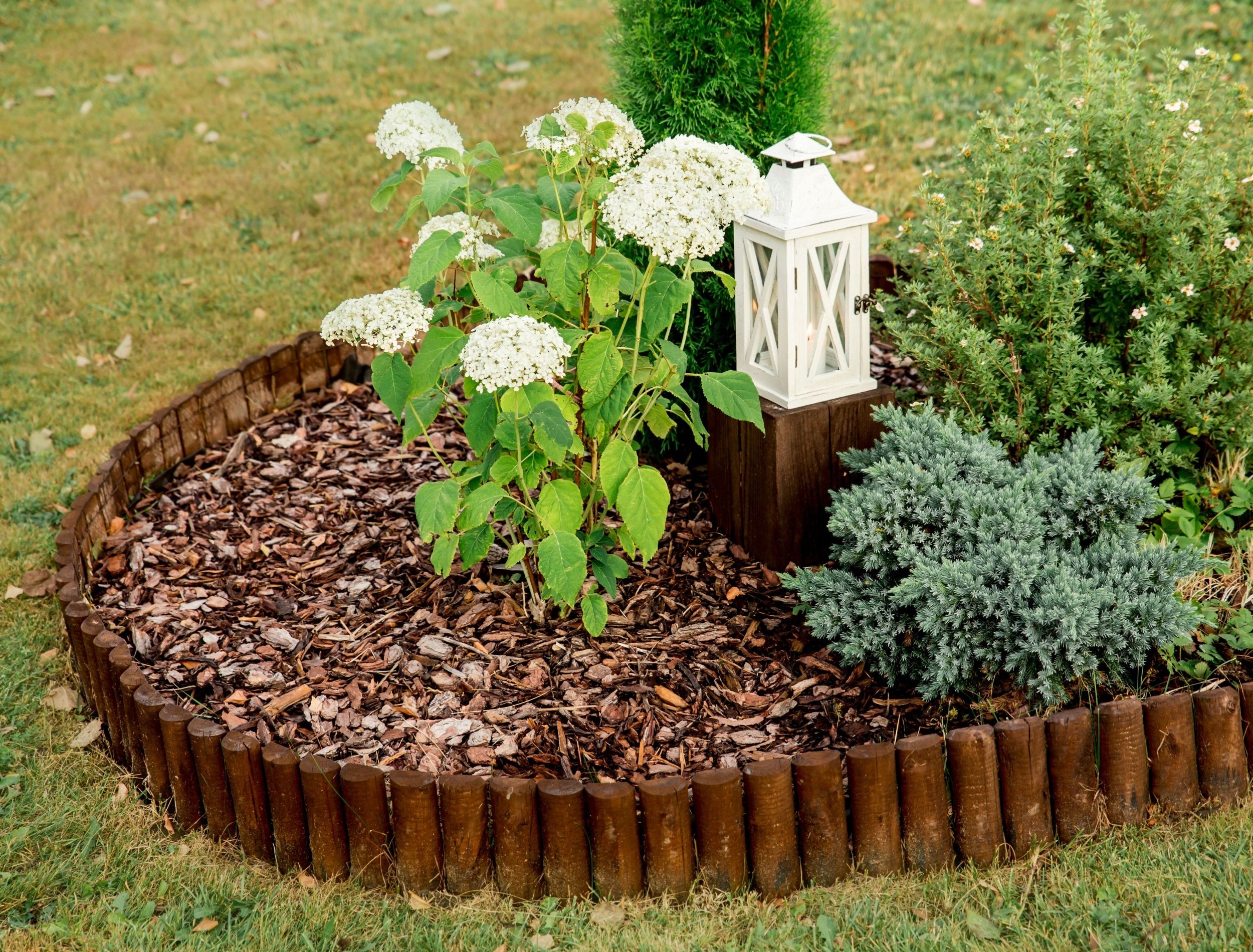 Easy Landscape Edging Ideas To Instantly Upgrade Your Yard