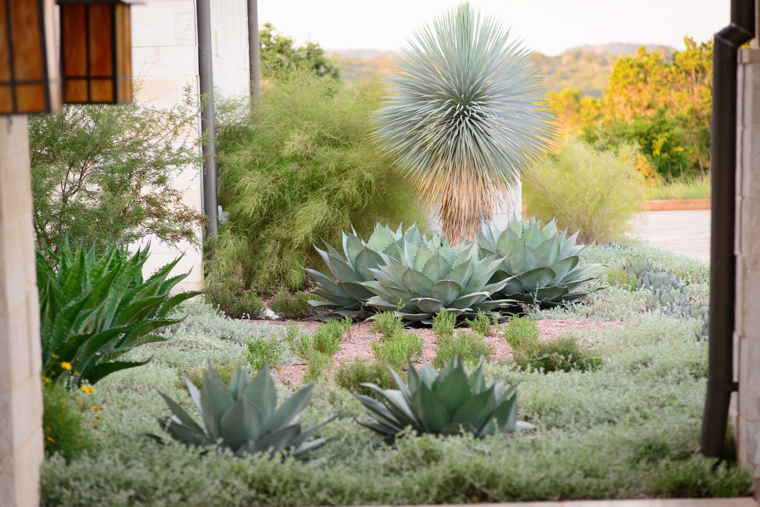 eden garden landscaping