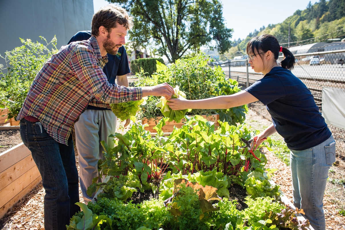 Edible Landscapes Are Un Lawning America Civil Eats