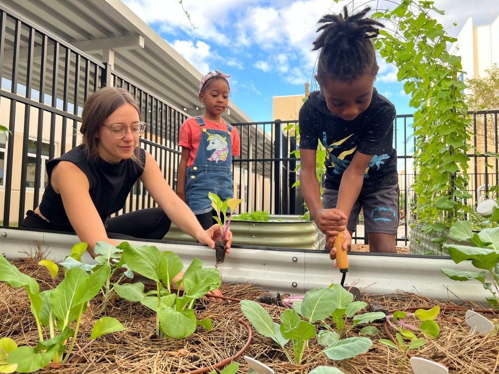 landscaping classes near me