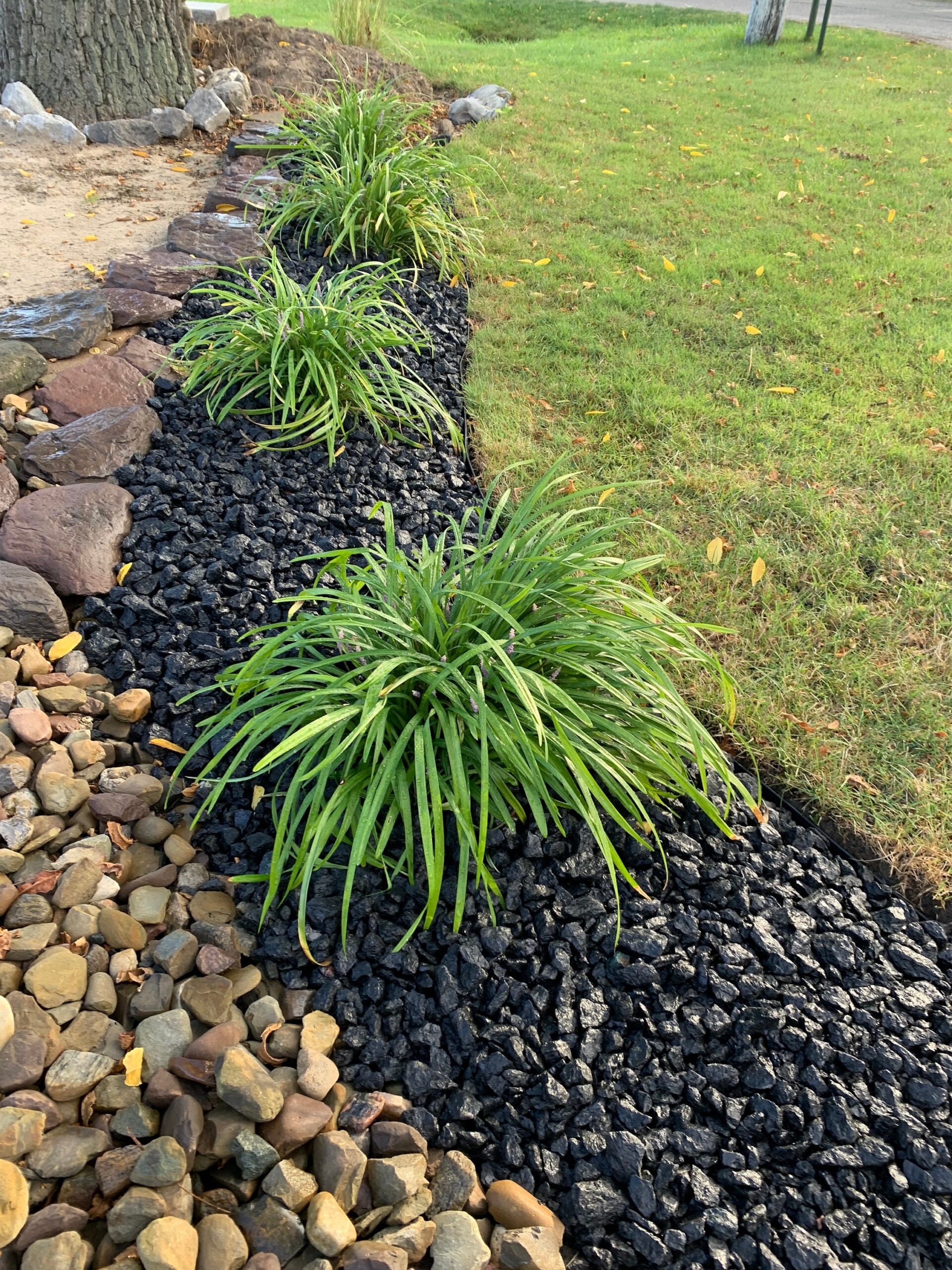 Elegant 1 Black Granite Stones For Landscaping Indoor Gardens 1 Gallon Bag Etsy
