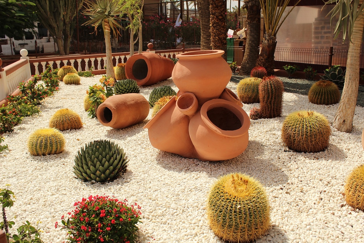 desert landscape ideas
