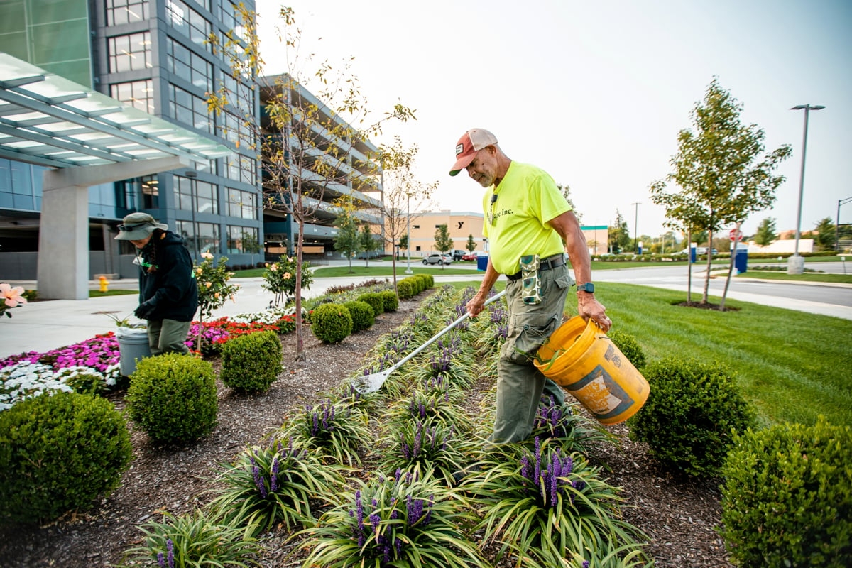 Essential Landscape Management Services For Commercial Properties