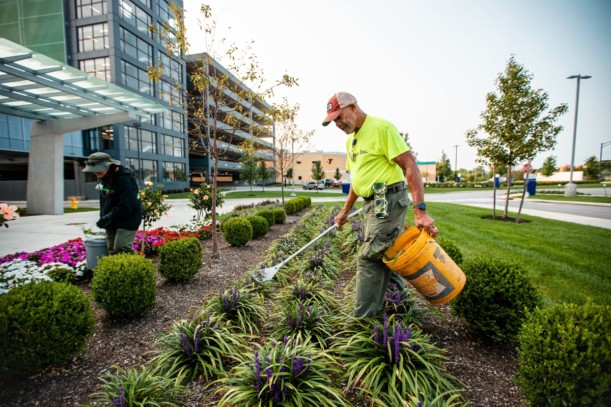 Essential Landscape Management Services For Commercial Properties
