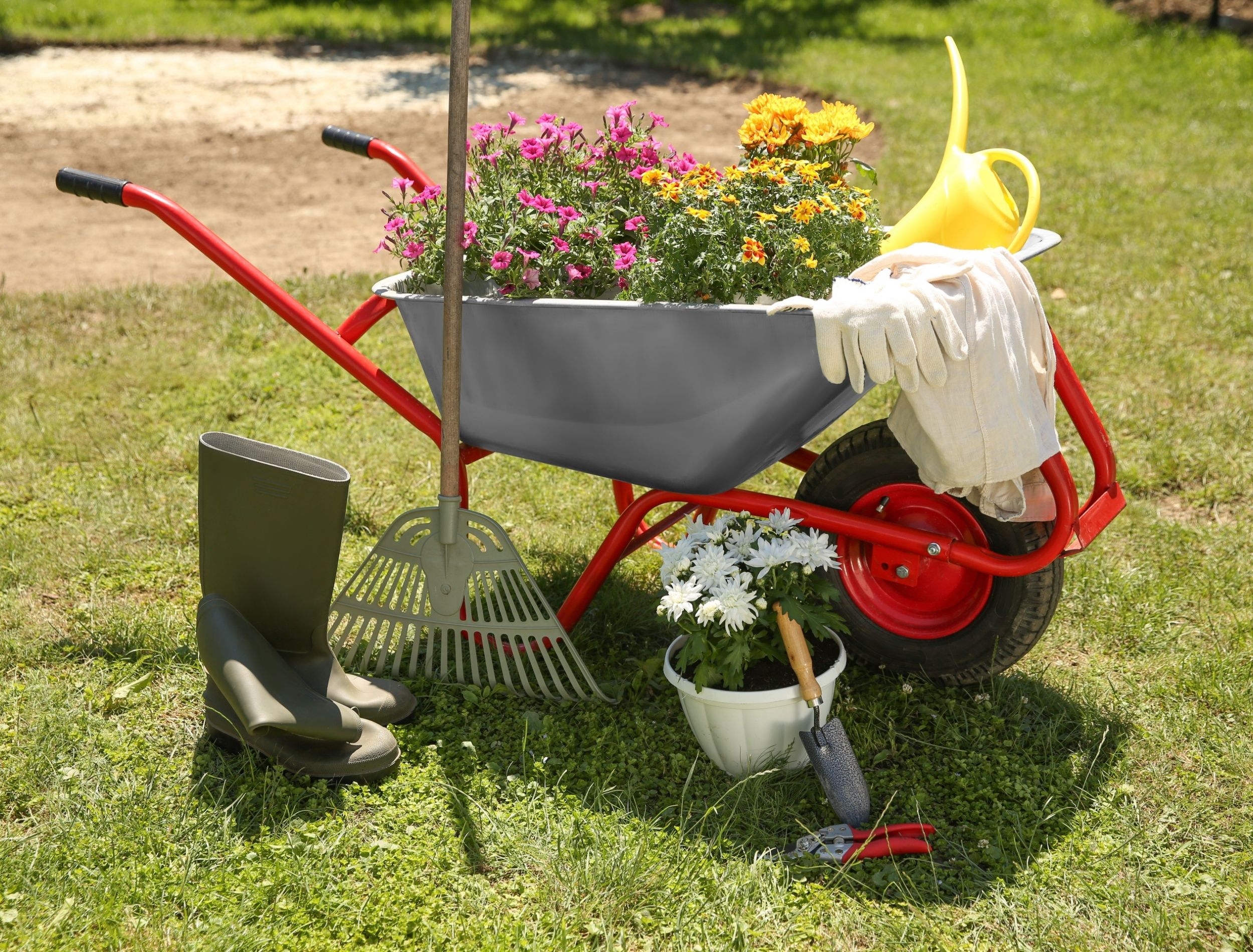 Essential Landscaping Tools Every Homeowner Should Own