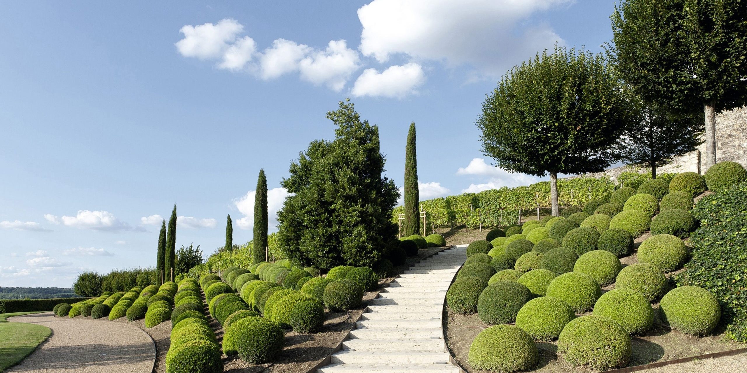 Evergreen Landscaping Guide To Year Round Greenery Beauty