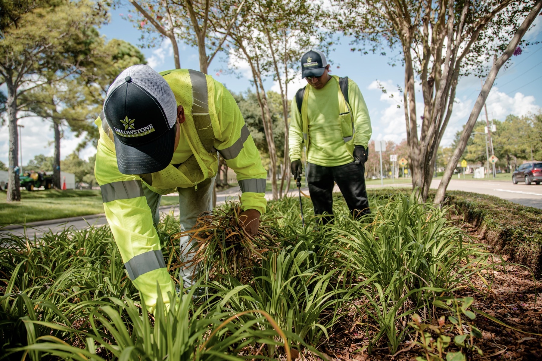 Everything You ve Wanted To Know About Commercial Landscape Maintenance Contracts