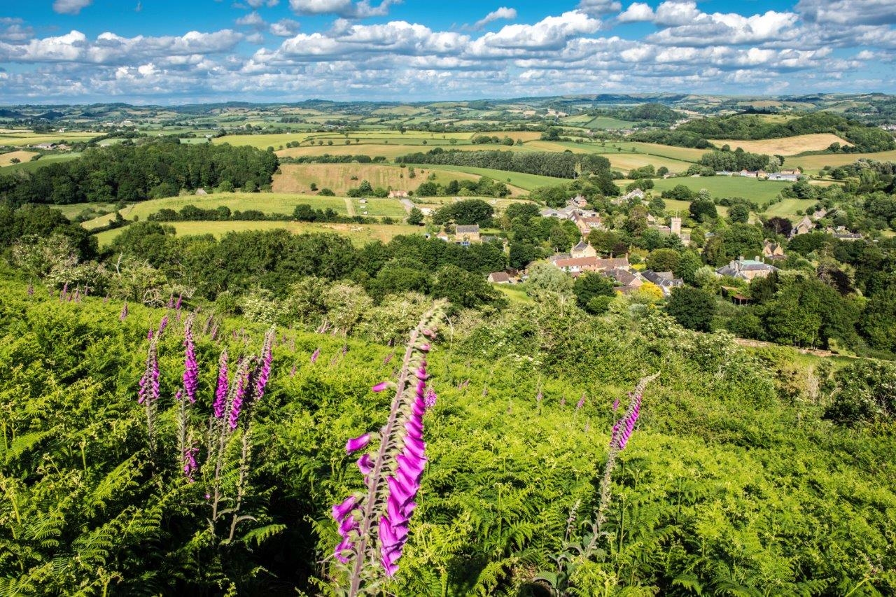 dorset national landscape
