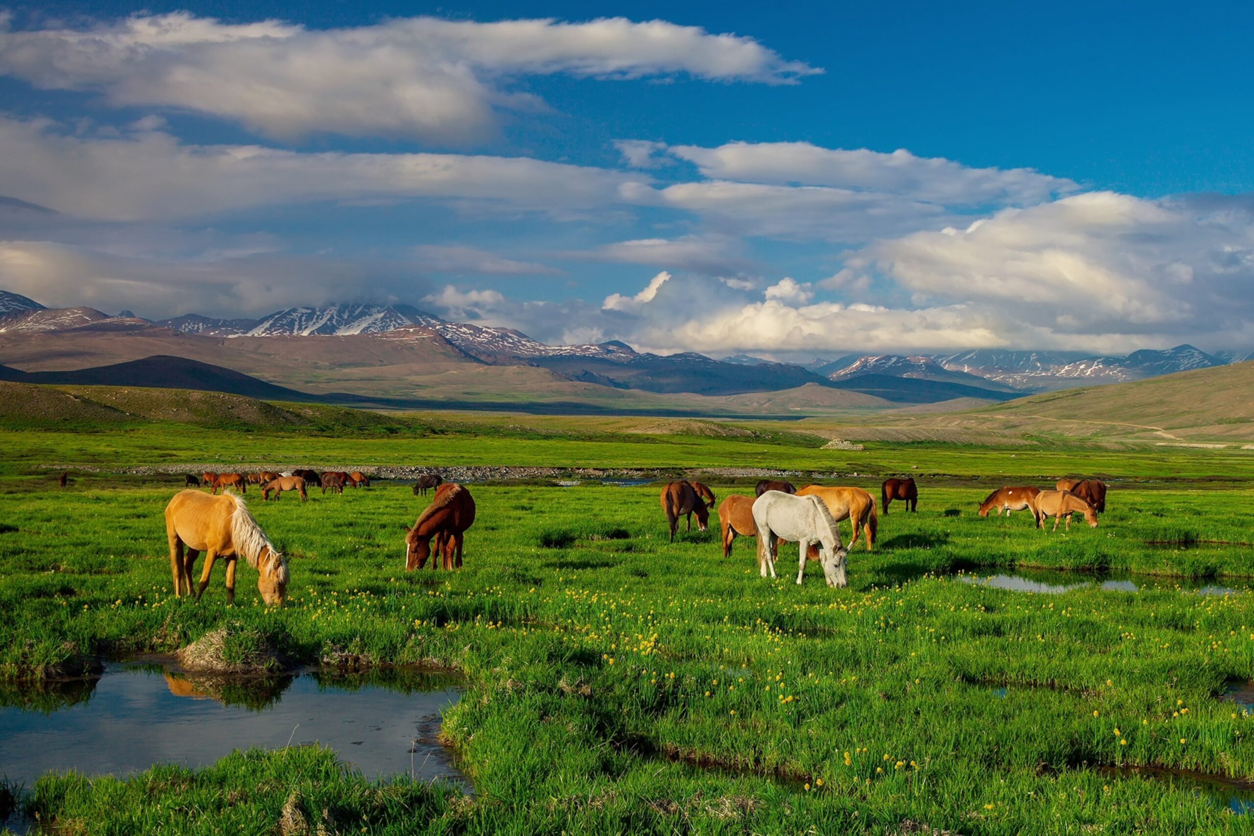 Explore Pakistan s Wildest Most Beautiful Landscapes National Geographic