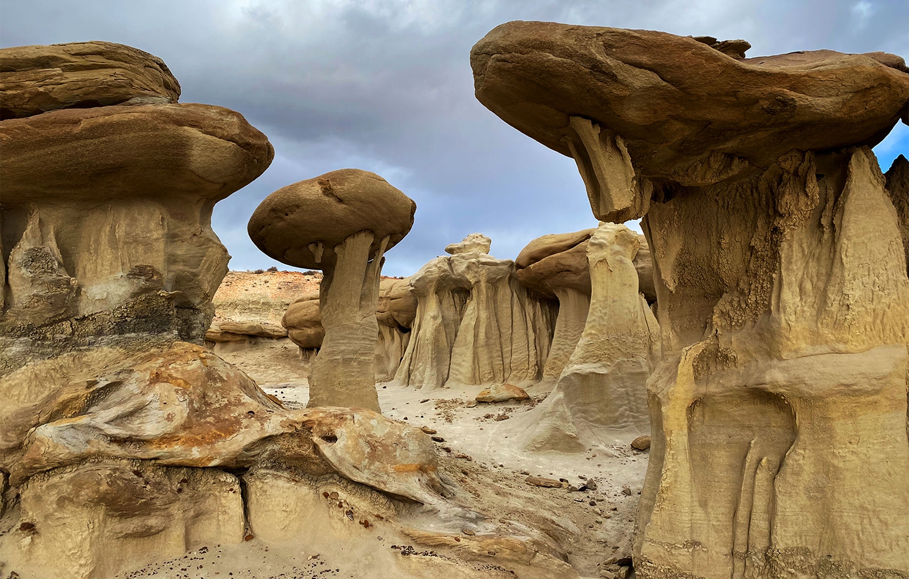 Exploring Otherworldly Landscapes In Northern New Mexico Boarding Pass