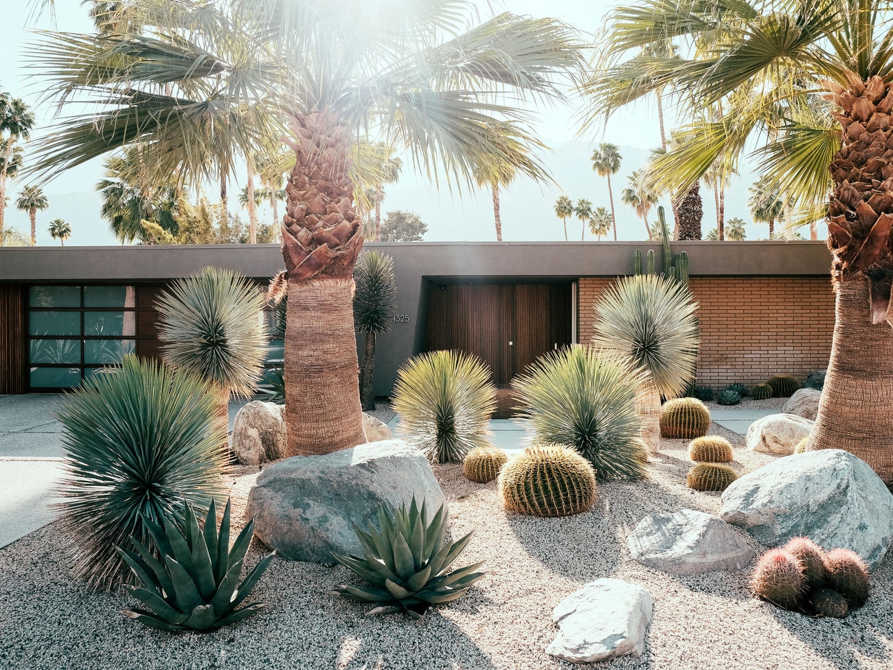 front yard desert landscaping ideas