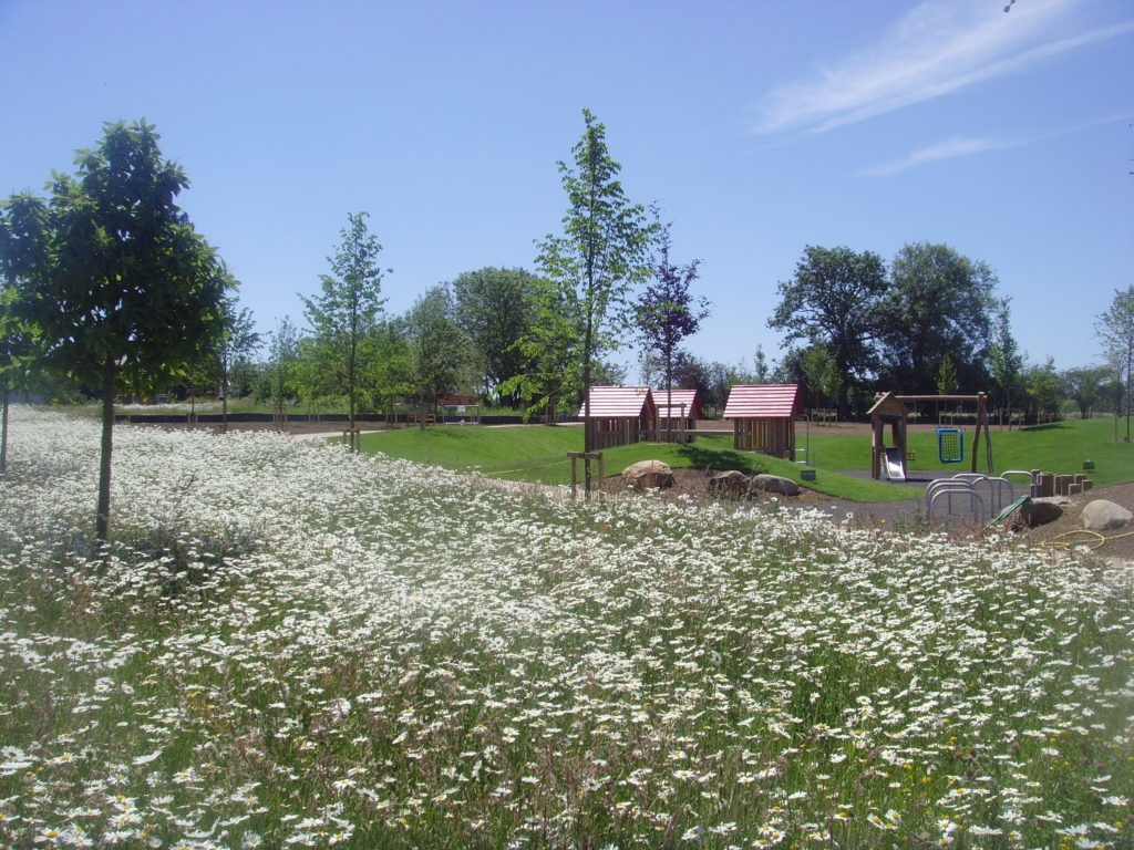 Featured Partner Whiting Landscape Ltd Wildflower Turf