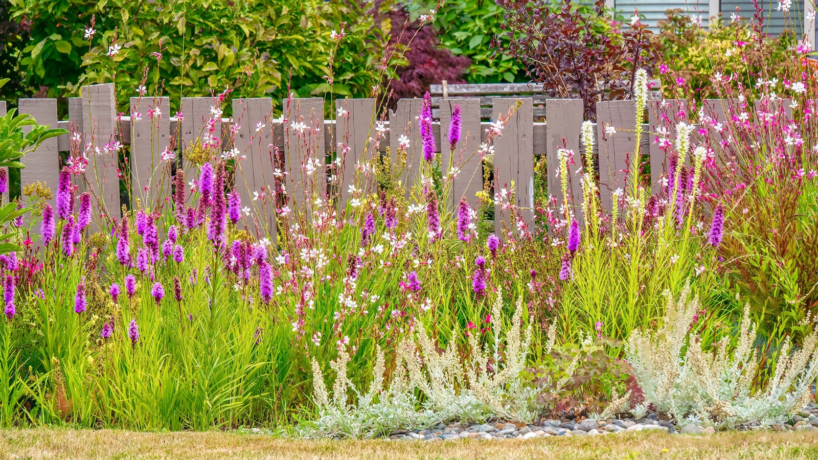 fence line landscaping ideas