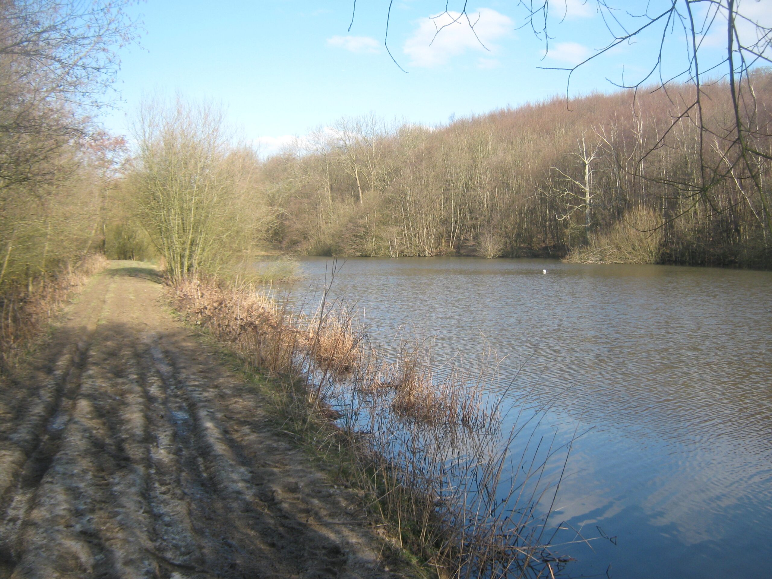 high weald landscape trail
