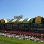Five On Three Covington s Nursery Landscape Co Rowlett Lakeshore Times Starlocalmedia
