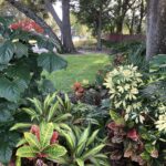Florida Style Foliage Fine Gardening