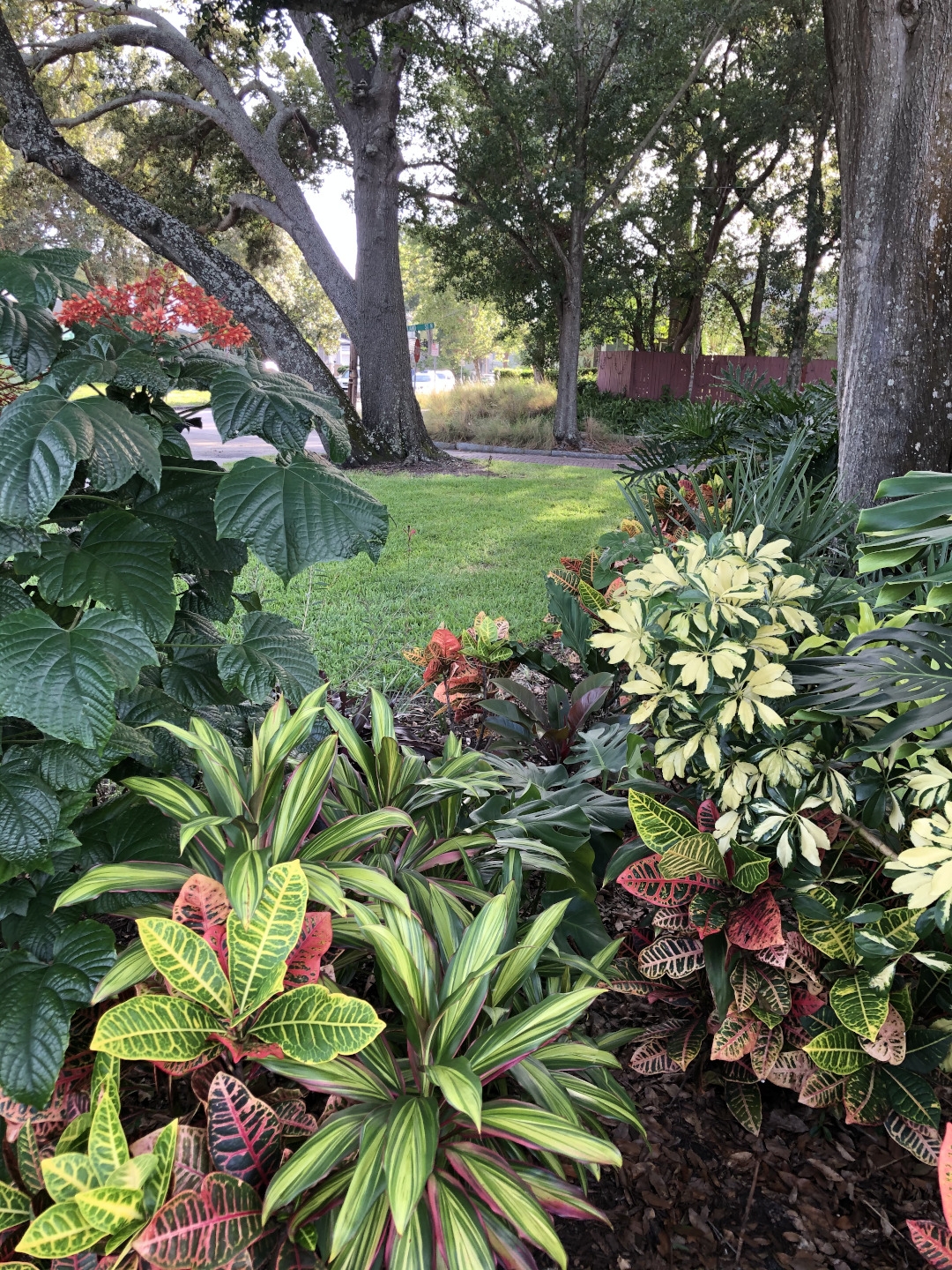 Florida Style Foliage Fine Gardening