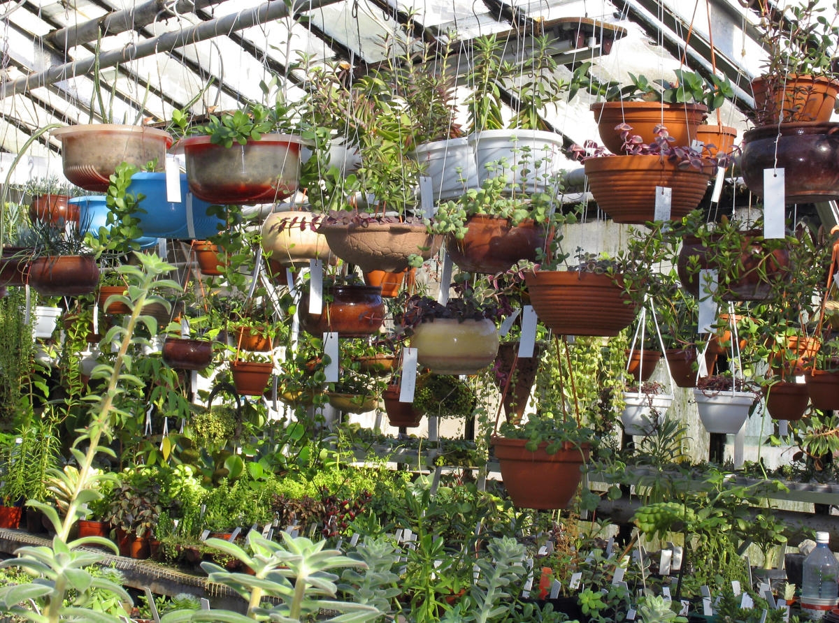 weegman landscape & garden center weegman landscape & garden center